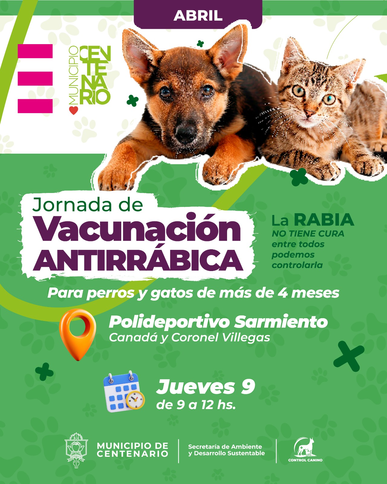 Imagen de MAÑANA HABRÁ UNA JORNADA GRATUITA DE VACUNACIÓN ANTIRRÁBICA EN EL POLIDEPORTIVO SARMIENTO