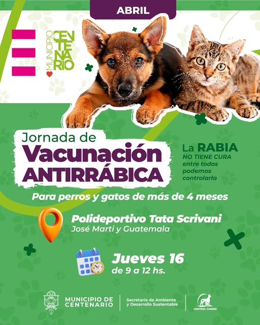 Imagen de HABRÁ UNA JORNADA GRATUITA DE VACUNACIÓN ANTIRRÁBICA EN EL POLIDEPORTIVO TATA 