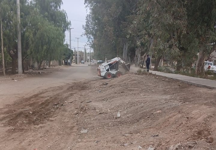 Imagen de OPERATIVO DE LIMPIEZA: AVANZAN LAS TAREAS DE ERRADICACIÓN DE MICROBASURALES EN CENTENARIO