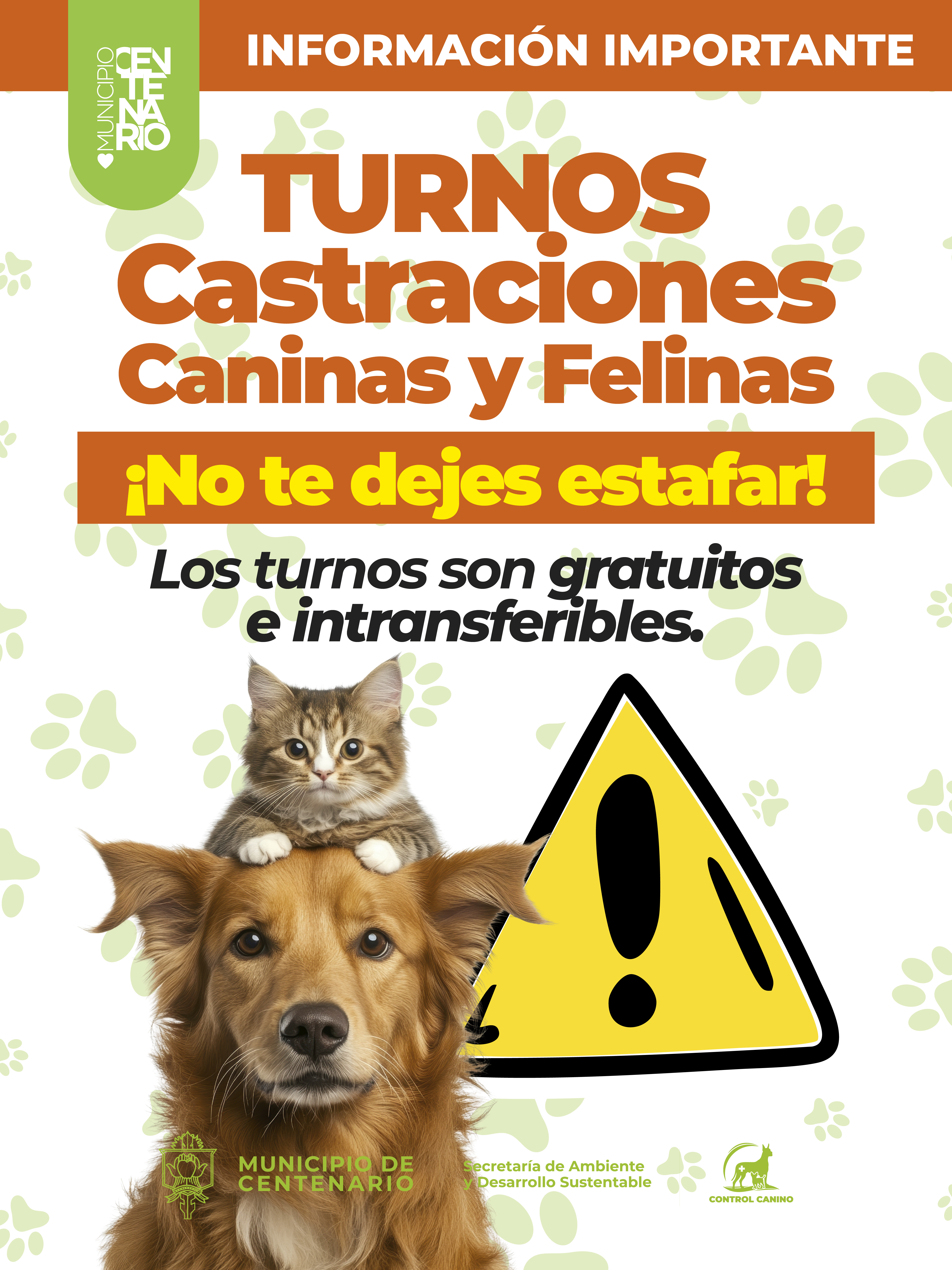 Imagen de ADVIERTEN QUE LOS TURNOS DE CASTRACIÓN SON GRATUITOS E INTRANSFERIBLES