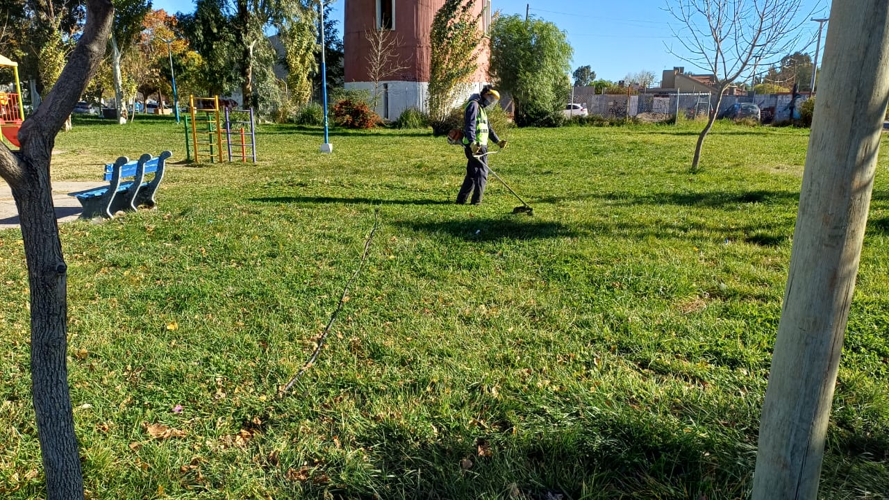 Imagen de SERVICIOS PÚBLICOS REALIZÓ TAREAS DE MANTENIMIENTO EN ESPACIOS VERDES