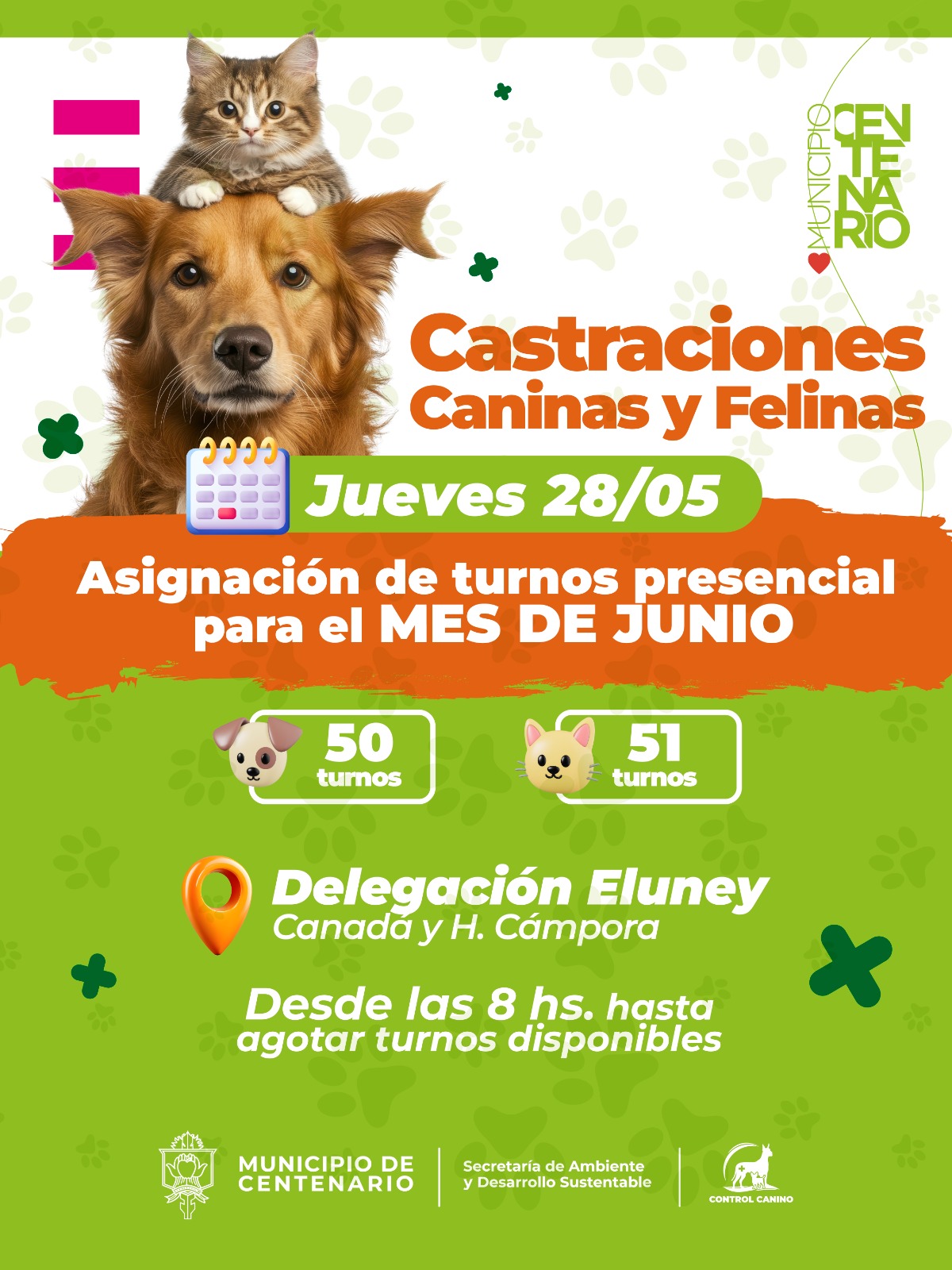 Imagen de MAÑANA JUEVES SE ENTREGARÁN LOS TURNOS PARA CASTRACIONES CANINAS Y FELINAS DE JUNIO