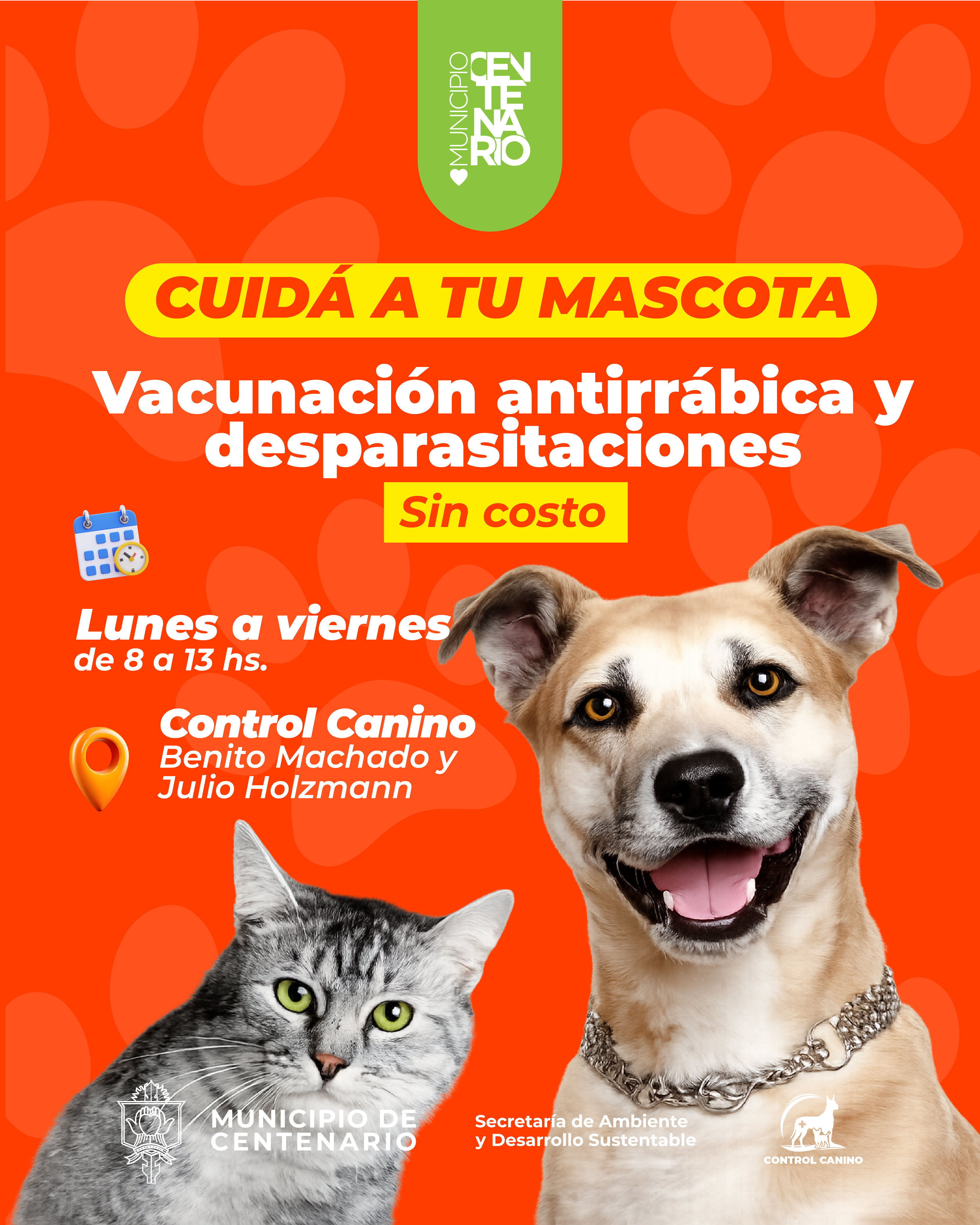 Imagen de CONTROL CANINO: MÁS DE 3400 ATENCIONES GRATUITAS ENTRE VACUNACIONES Y CASTRACIONES EN LO QUE VA DEL AÑO