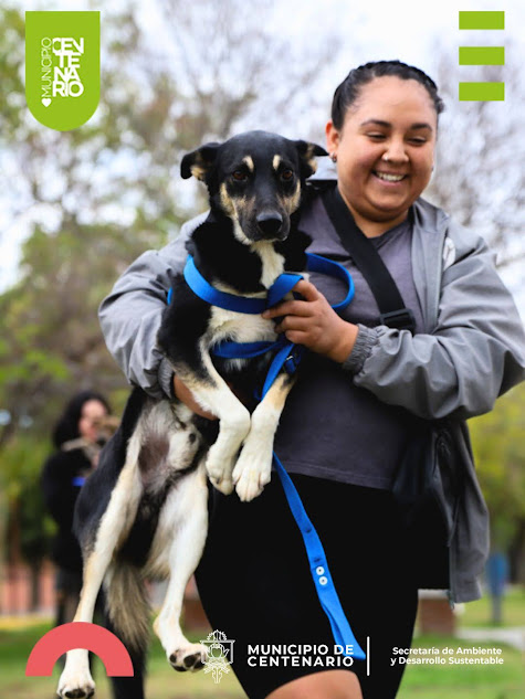 Imagen de MAÑANA SE REALIZARÁ UNA NUEVA JORNADA DE CASTRACIONES CANINAS