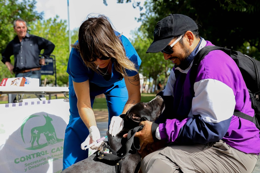 Imagen de SE ANUNCIARON LAS FECHAS DE JULIO PARA LA CAMPAÑA GRATUITA DE VACUNACIÓN ANTIRRÁBICA Y DESPARASITACIÓN DE MASCOTAS EN CENTENARIO