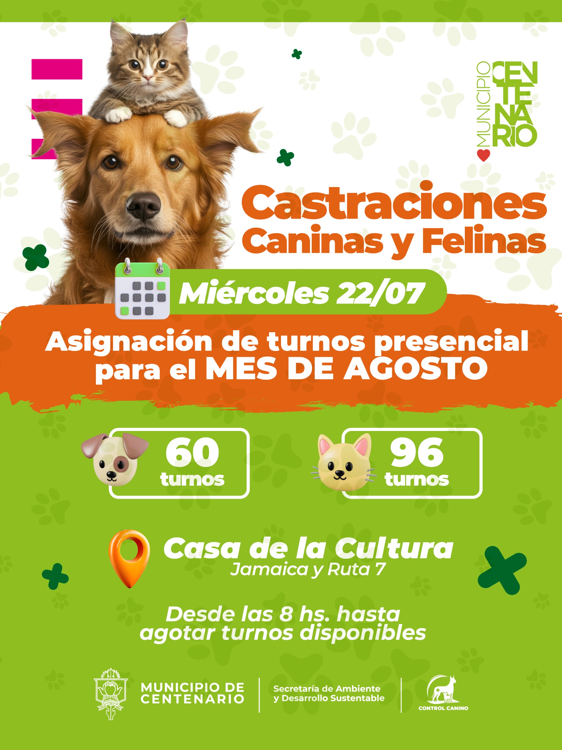 Imagen de MIÉRCOLES 22: SE ENTREGARÁN LOS TURNOS PARA CASTRACIONES GRATUITAS