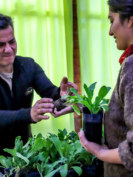 Imagen de NUEVAS FORMACIONES PROFESIONALES GRATUITAS EN AGROECOLOGÍA: JARDINERÍA, VIVERO Y PRODUCCIÓN HORTÍCOLA
