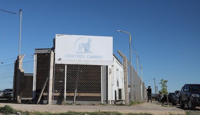 Imagen de CONTROL CANINO MANTIENE LOS QUIRÓFANOS ACTIVOS Y REDUCE TEMPORALMENTE EL HORARIO DE ATENCIÓN