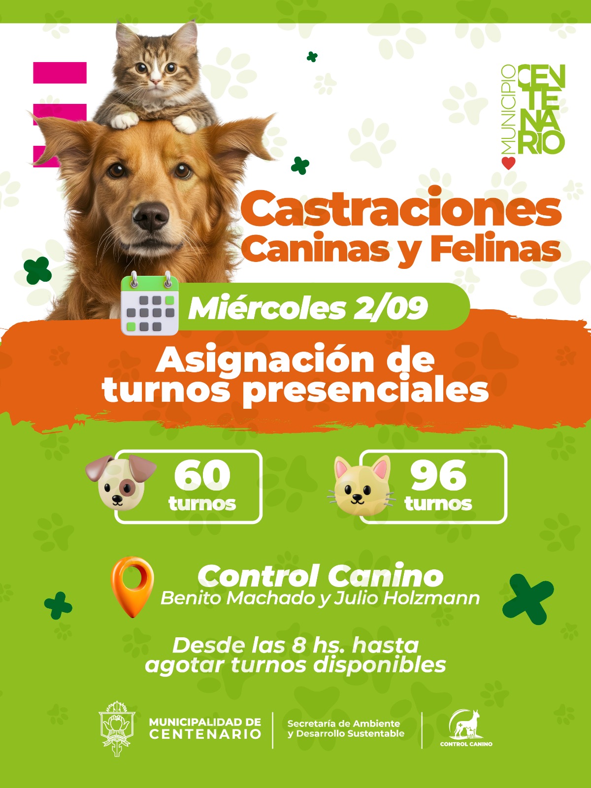 Imagen de CONTROL CANINO HABILITA NUEVOS TURNOS GRATUITOS PARA CASTRACIONES DE PERROS Y GATOS